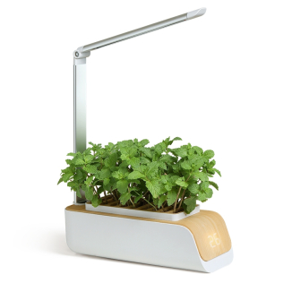 Huerto urbano LED automática | Cultivo sin luz natural | Altura y ángulo ajustables | 4,5 W | Mini-grow| Mobiclinic