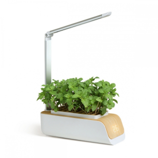 Huerto urbano interior | LED automática | Cultivo sin luz natural | Altura y ángulo ajustables | 4,5W | Mini-grow | Mobiclinic