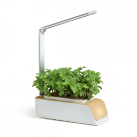 Automatischer LED-Stadtgarten | Wachsen ohne natürliches Licht | Höhe und Winkel einstellbar | 4,5 W | Mini-Grow | Mobiclinic