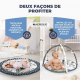 Tapis d'activité pour bébé | 5 jouets | 2 arches | Développement sensoriel | Interactif | Pays des rêves | Gris | Mobiclinic - Foto 3