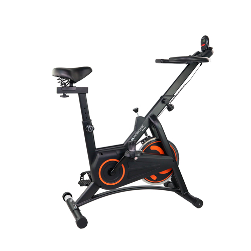 Bicicleta estática, Volante de inercia 10 kg, Ajustable, Con ruedas, Pantalla LCD, Peso máx. 120 kg, Makalu